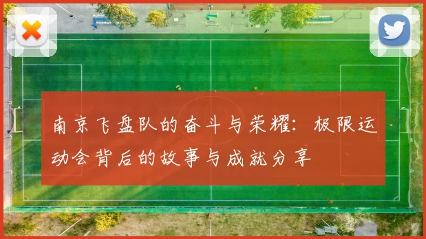 南京飞盘队的奋斗与荣耀：极限运动会背后的故事与成就分享