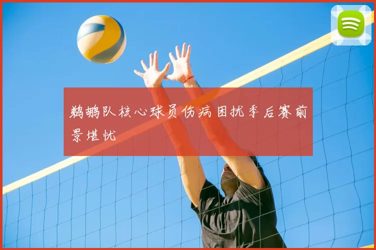 鹈鹕队核心球员伤病困扰季后赛前景堪忧
