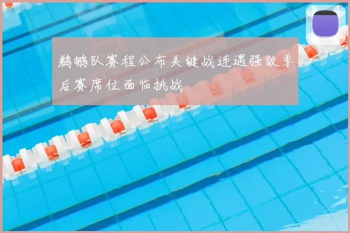 鹈鹕队赛程公布关键战连遇强敌季后赛席位面临挑战