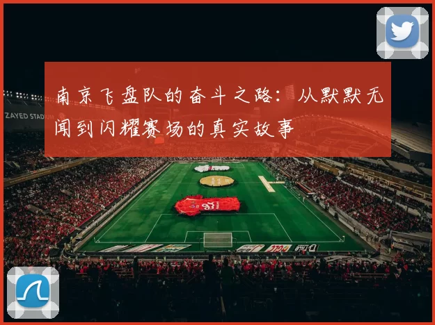 南京飞盘队的奋斗之路：从默默无闻到闪耀赛场的真实故事