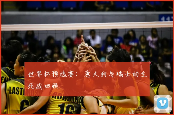 世界杯预选赛：意大利与瑞士的生死战回顾