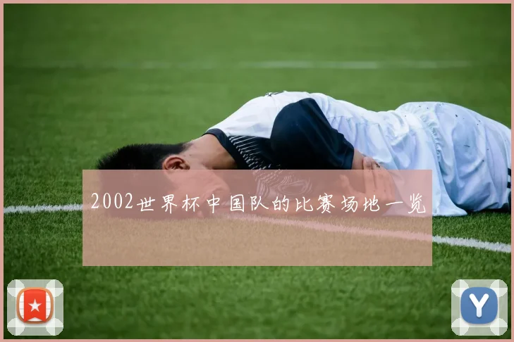 2002世界杯中国队的比赛场地一览