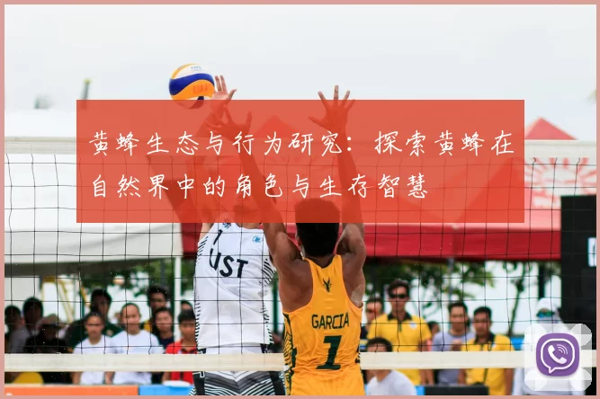 黄蜂生态与行为研究：探索黄蜂在自然界中的角色与生存智慧