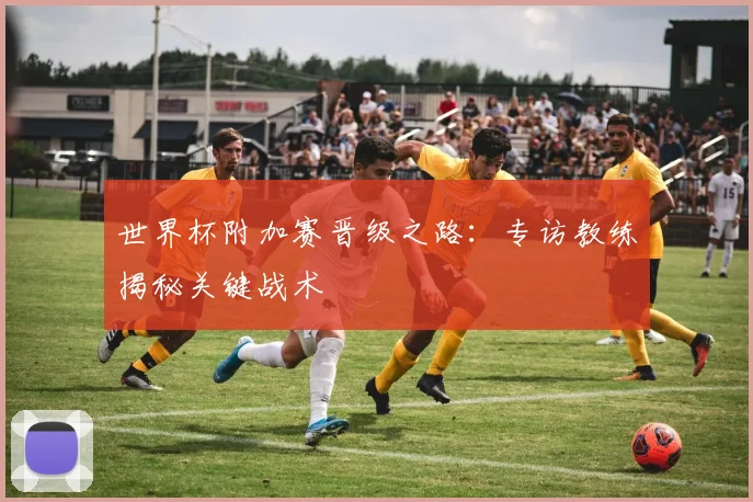 世界杯附加赛晋级之路:专访教练揭秘关键战术