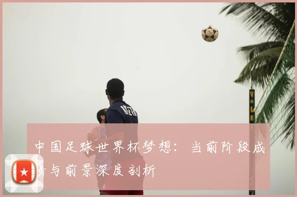 中国足球世界杯梦想：当前阶段成绩与前景深度剖析