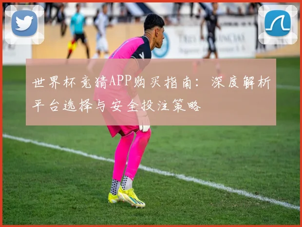 世界杯竞猜APP购买指南：深度解析平台选择与安全投注策略
