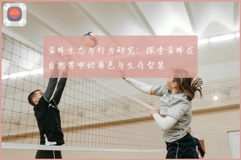黄蜂生态与行为研究：探索黄蜂在自然界中的角色与生存智慧