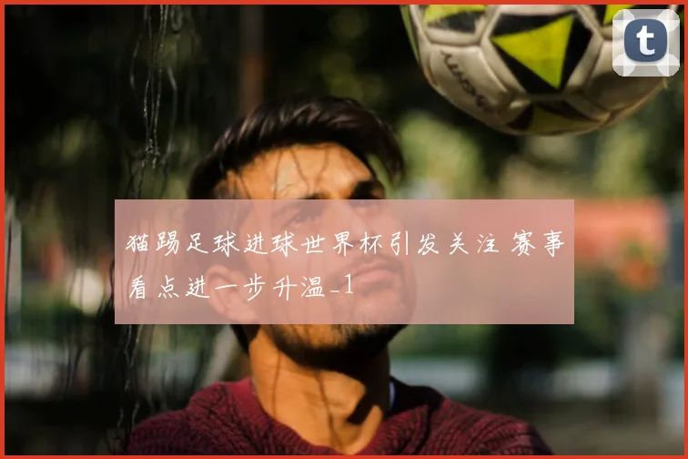 猫踢足球进球世界杯引发关注 赛事看点进一步升温_1