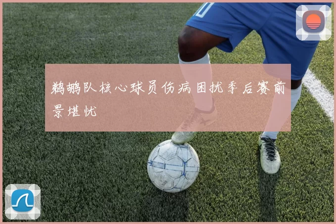 鹈鹕队核心球员伤病困扰季后赛前景堪忧