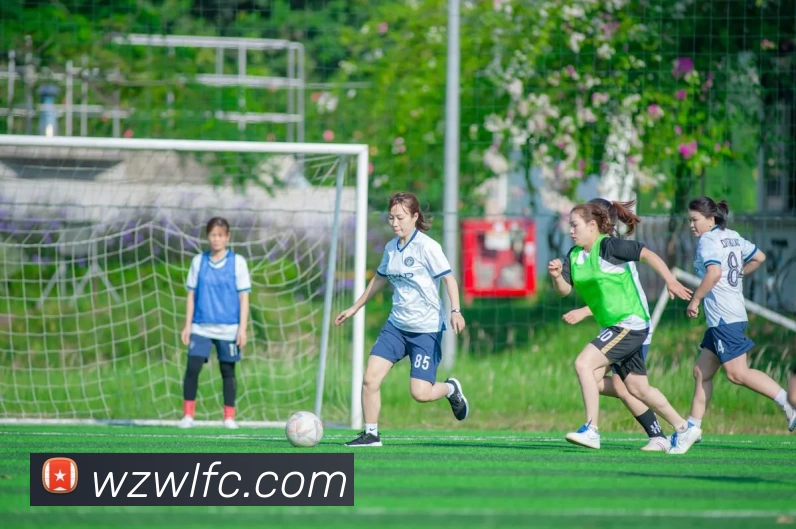 华体会体育平台生态图